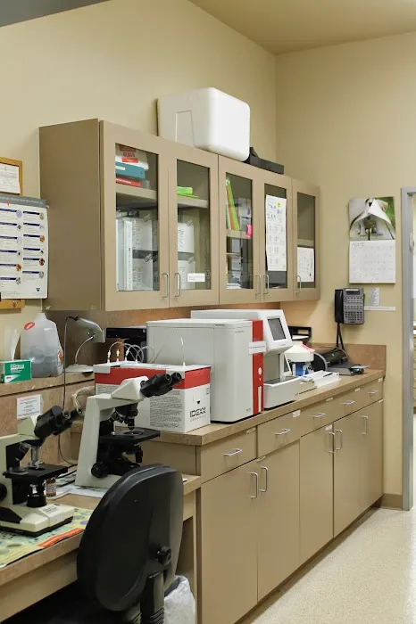 Cypress Creek Pet Care, A Thrive Pet Healthcare Partner 1