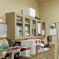 Cypress Creek Pet Care, A Thrive Pet Healthcare Partner ico