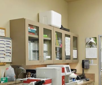 Cypress Creek Pet Care, A Thrive Pet Healthcare Partner