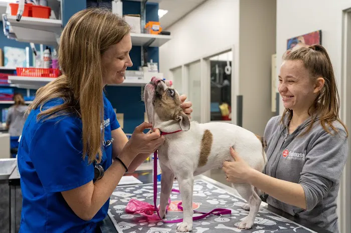 Firehouse Animal Health Center Leander 3