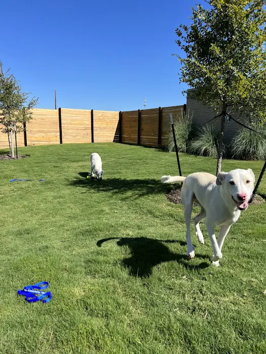 Leander Veterinary Clinic 7