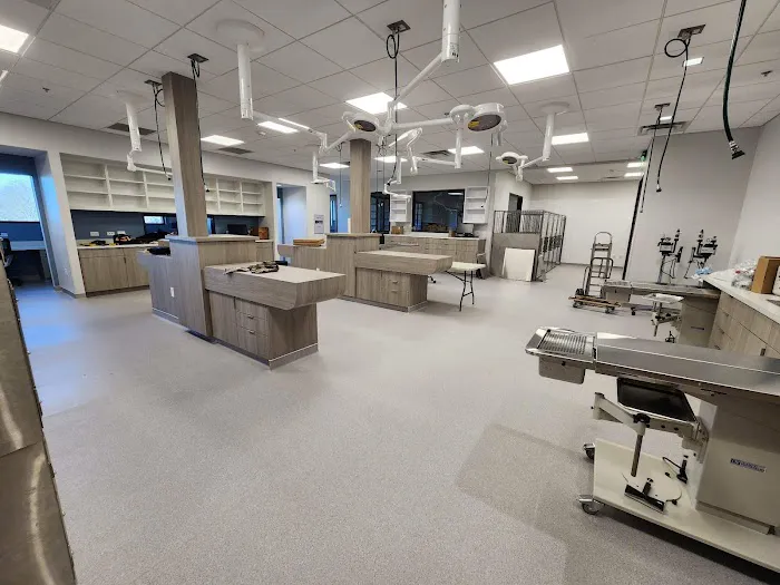 Leander Veterinary Clinic 10