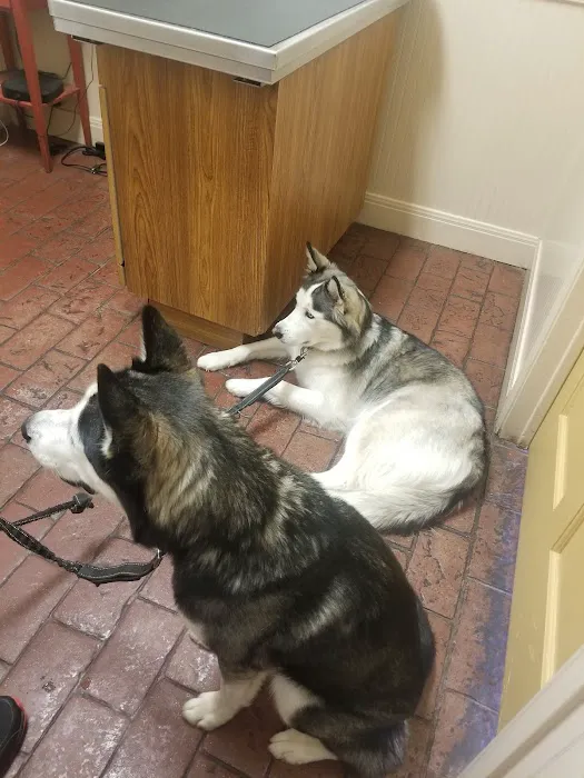 VCA Lakeline Animal Hospital 10