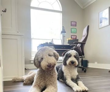 Block House Creek Animal Hospital