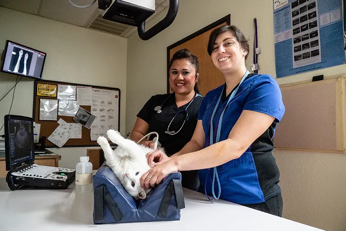 Block House Creek Animal Hospital 4