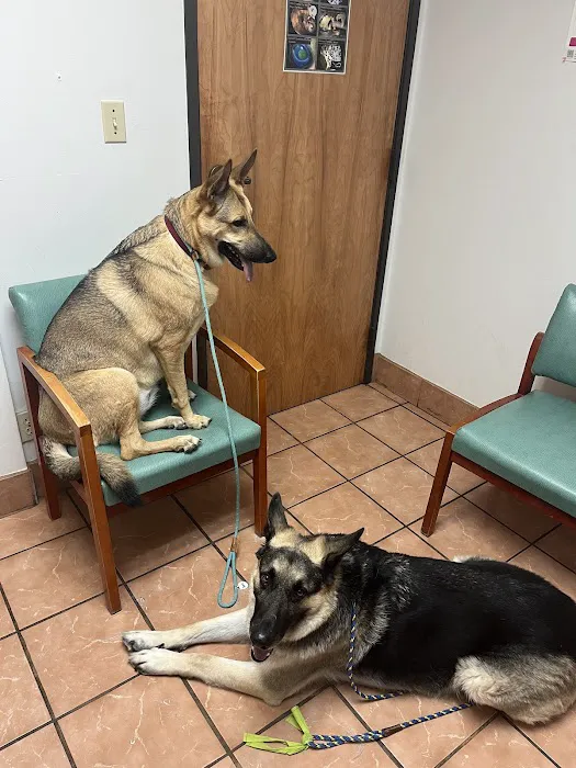 Block House Creek Animal Hospital 8