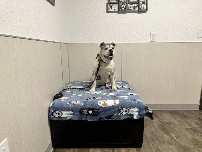 Cedar Park Animal Clinic 7