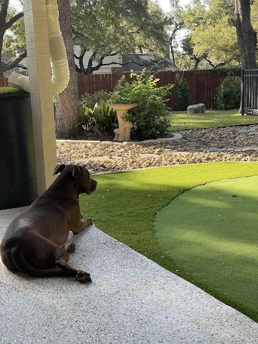 Cedar Park Animal Clinic 10