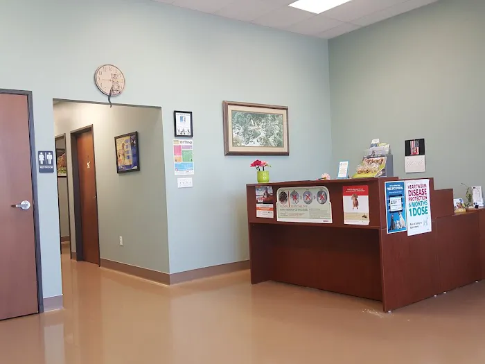 Affordable Pet Care 6