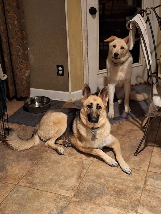 Affordable Pet Care 7