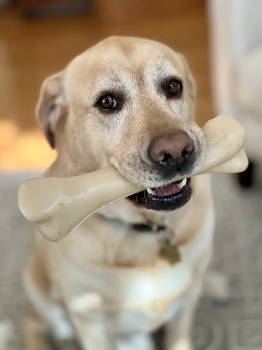Hill Country Animal Hospital 7