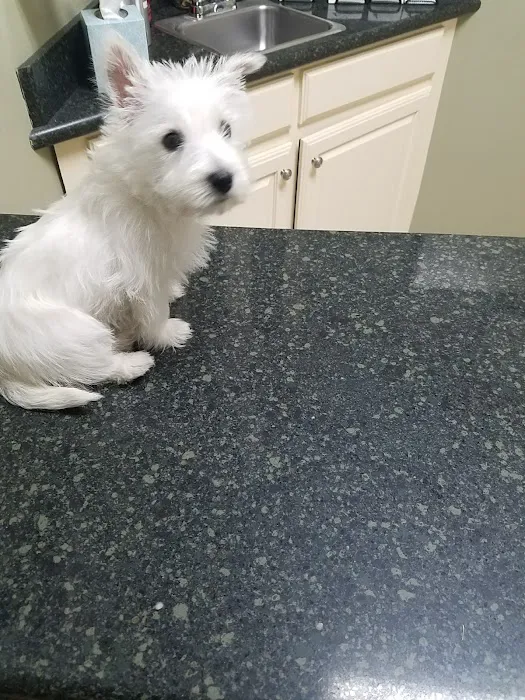 Hill Country Animal Hospital 4
