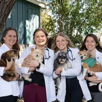 Manchaca Village Veterinary Care ico
