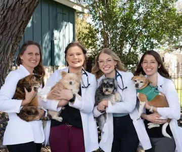 Manchaca Village Veterinary Care