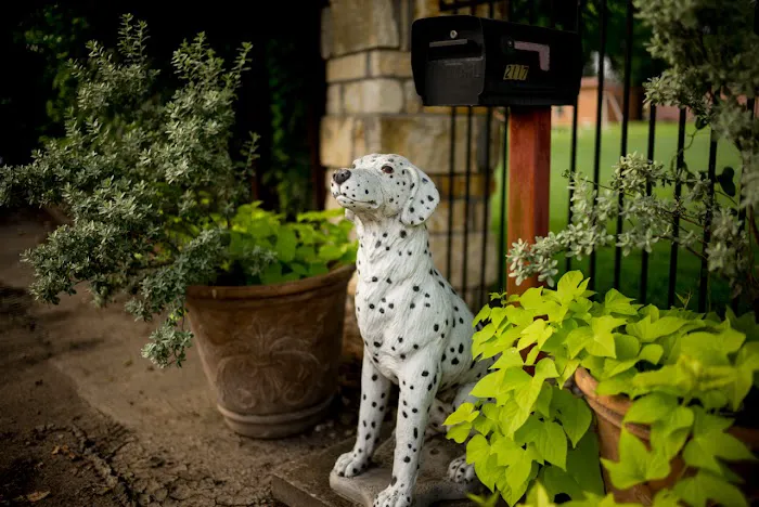 Manchaca Village Veterinary Care 10