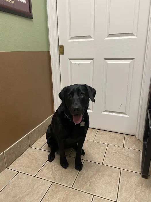 Manchaca Village Veterinary Care 4