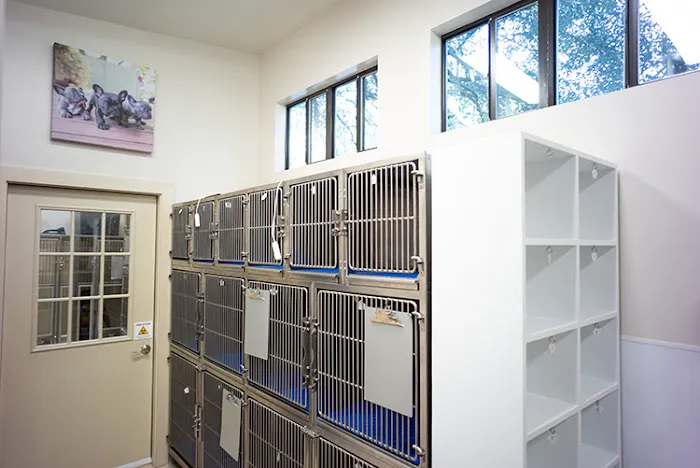 Manchaca Village Veterinary Care 8
