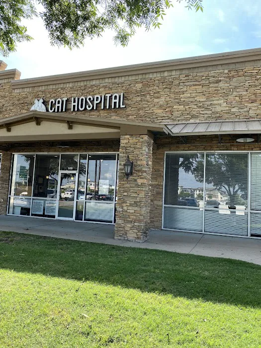 South Austin Cat Hospital 6
