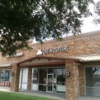 South Austin Cat Hospital ico
