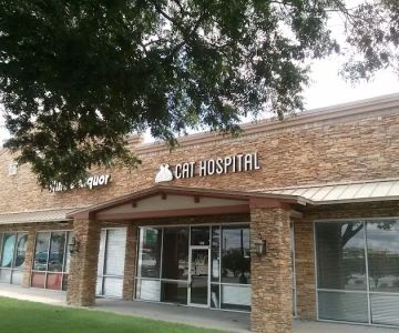 South Austin Cat Hospital