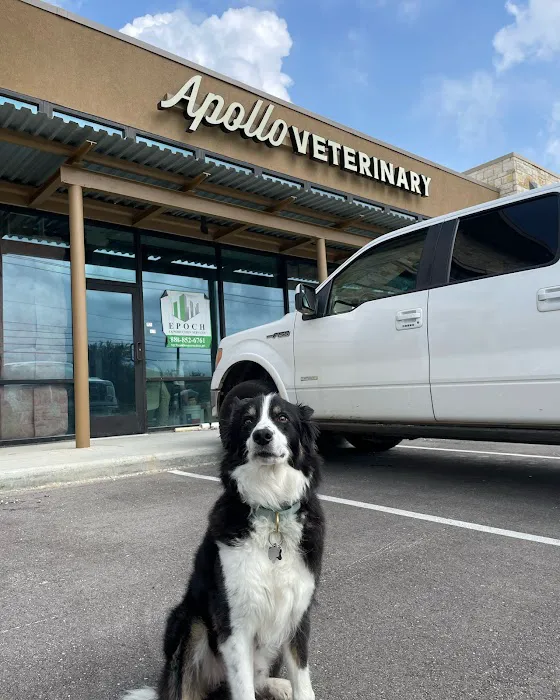 Apollo Veterinary South Austin 2