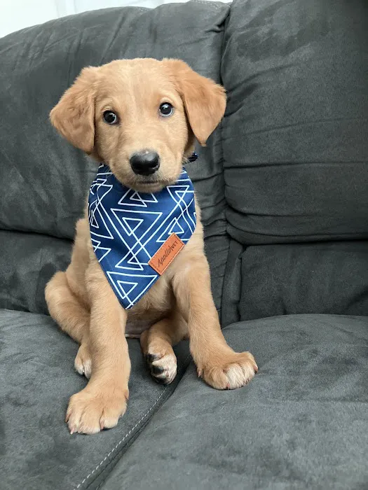 Apollo Veterinary South Austin 1