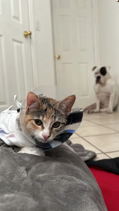Apollo Veterinary South Austin 7