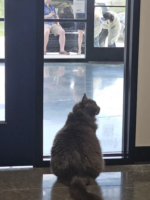Apollo Veterinary South Austin 4