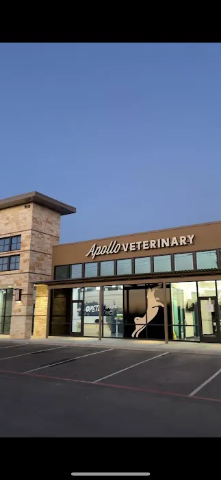Apollo Veterinary South Austin 3