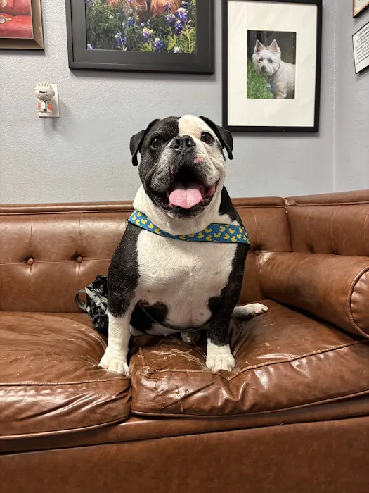 Star of Texas Veterinary Hospital 2