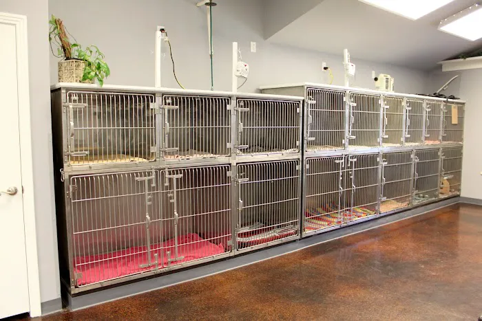 Star of Texas Veterinary Hospital 7