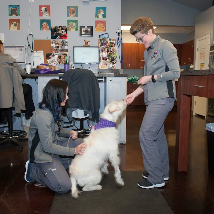Star of Texas Veterinary Hospital 9