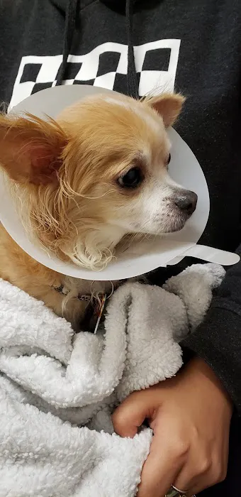 Thrive Pet Healthcare - Manchaca 1