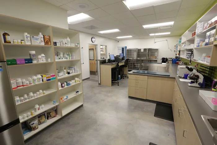 Thrive Pet Healthcare - Manchaca 10
