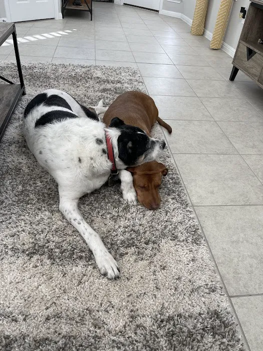 Thrive Pet Healthcare - Manchaca 8