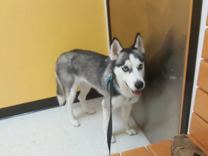 Banfield Pet Hospital 1