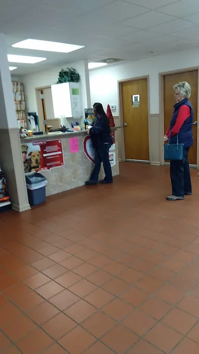 Animal Hospital of Ashe 4