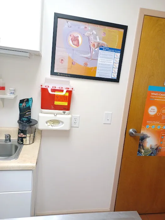 Animal Hospital of Ashe 7