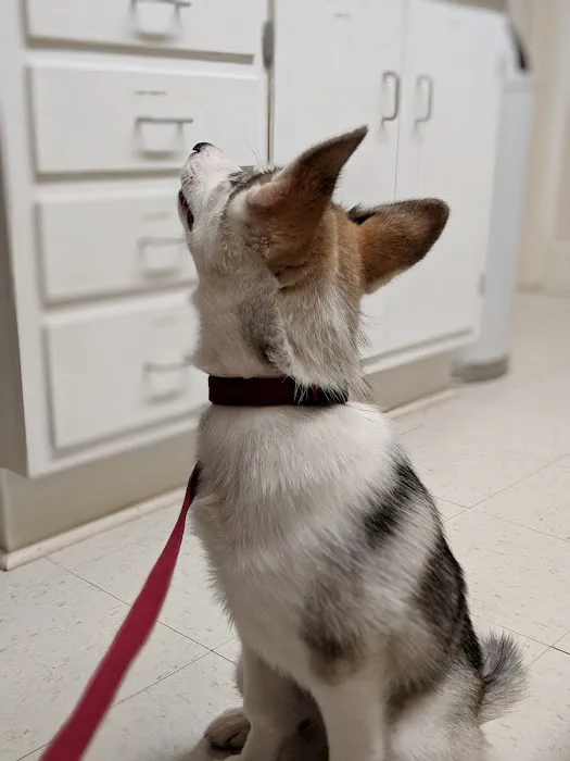 West End Animal Clinic 10