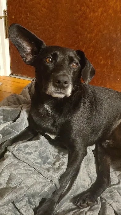 West End Animal Clinic 9