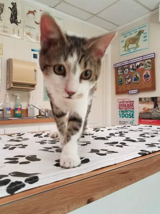 West End Animal Clinic 4
