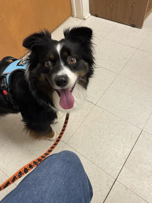 West End Animal Clinic 6