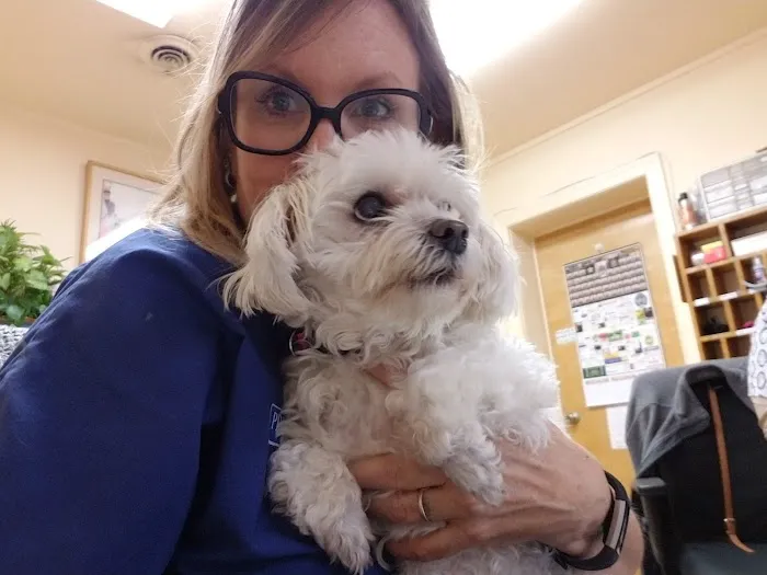 Radford Animal Hospital 1