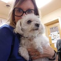 Radford Animal Hospital ico