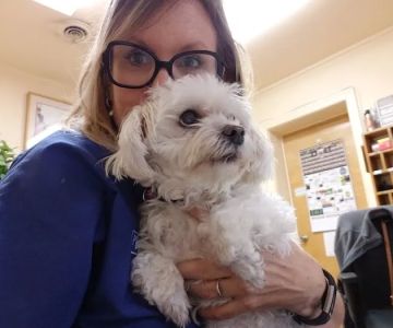 Radford Animal Hospital