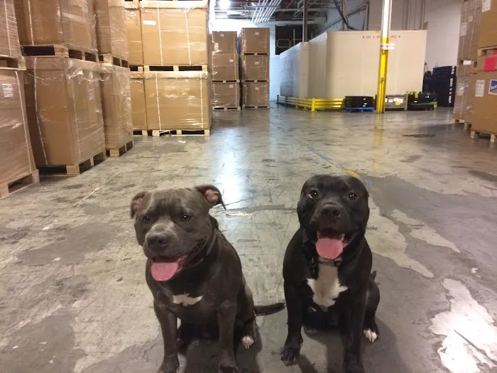 Animal Care Clinic, LLC 12