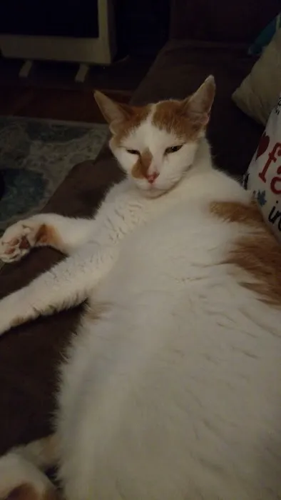 Lake Brandt Veterinary Hospita: Lofgren James DVM 1