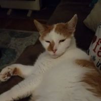 Lake Brandt Veterinary Hospita: Lofgren James DVM ico