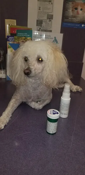 Lake Brandt Veterinary Hospital: Dudak Julie DVM 1