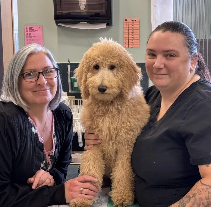 Lake Brandt Veterinary Hospital 12